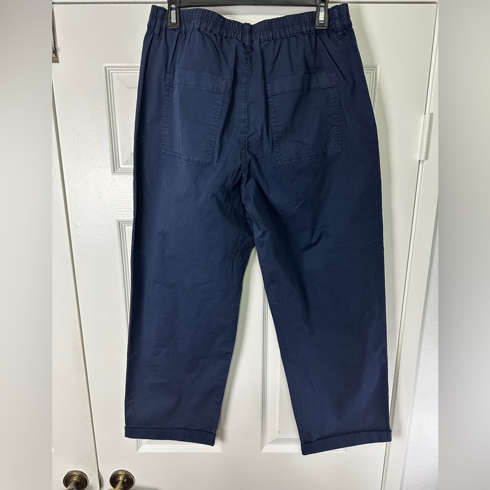 Pistola Estelle Mid Rise Washed Navy Cropped Pleated Trouser Women’s 29 NEW - Picture 4 of 10